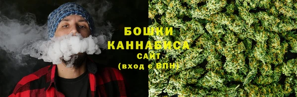 мдпв Володарск