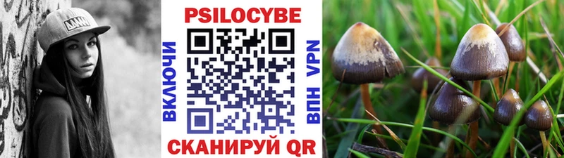 Псилоцибиновые грибы ЛСД  Купить закладки  Покровск 